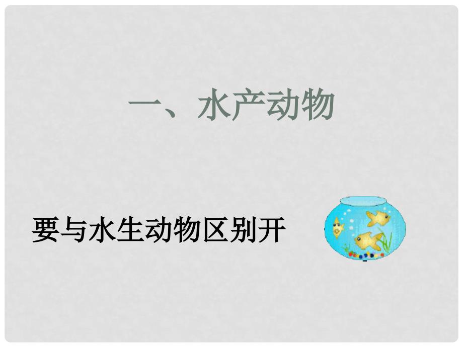 七年级生物上册 第三章第三节常见动物 一水产动物课件 冀教版_第1页