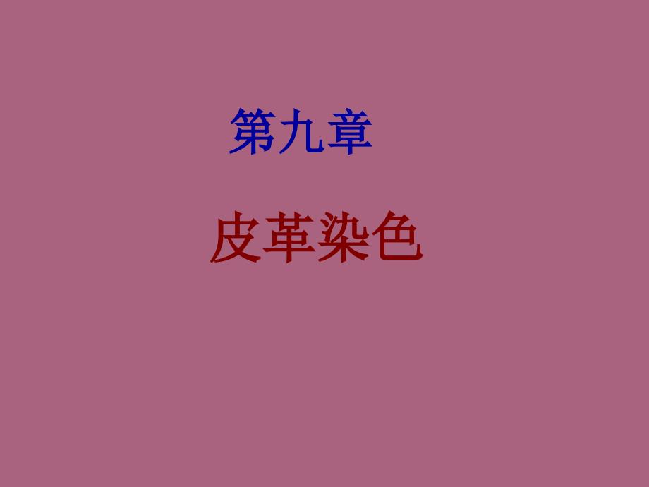 第九章皮革染色ppt课件_第1页