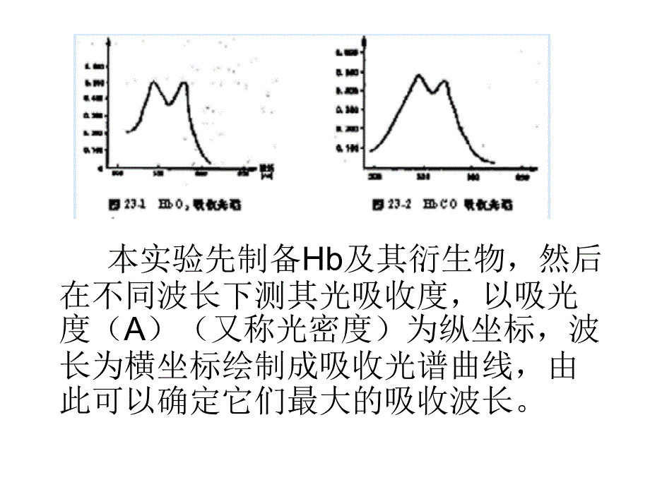 实验二血红蛋白及其衍生物的吸收光谱及_第4页