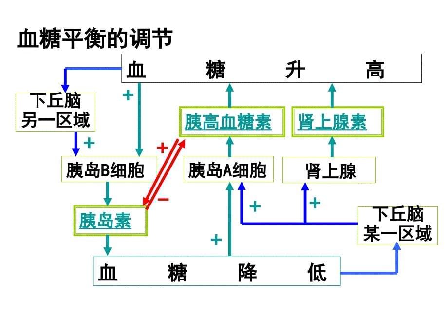 糖类代谢与人体健康_第5页