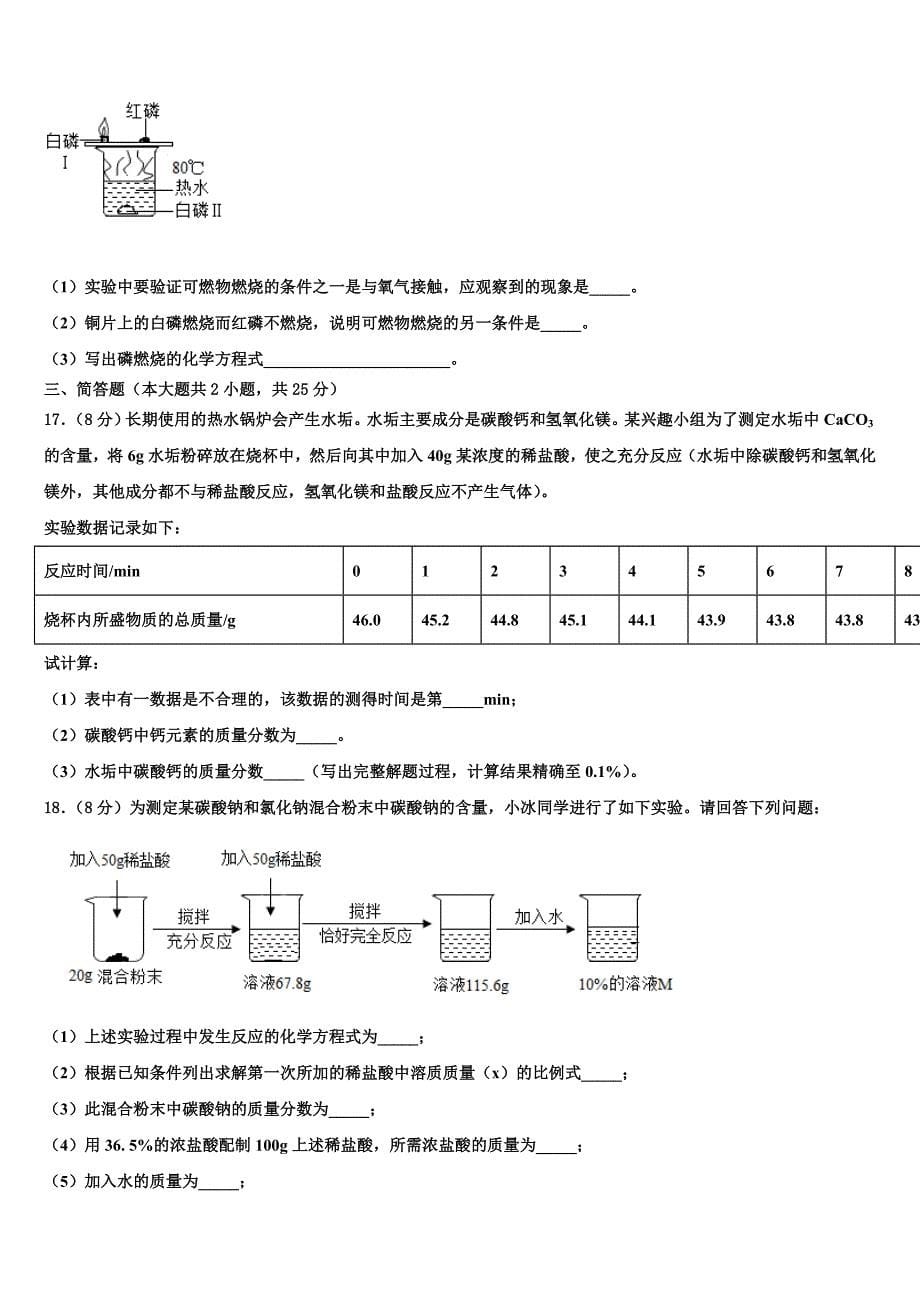 2023届四川省苍溪县九年级化学第一学期期末学业水平测试试题含解析.doc_第5页