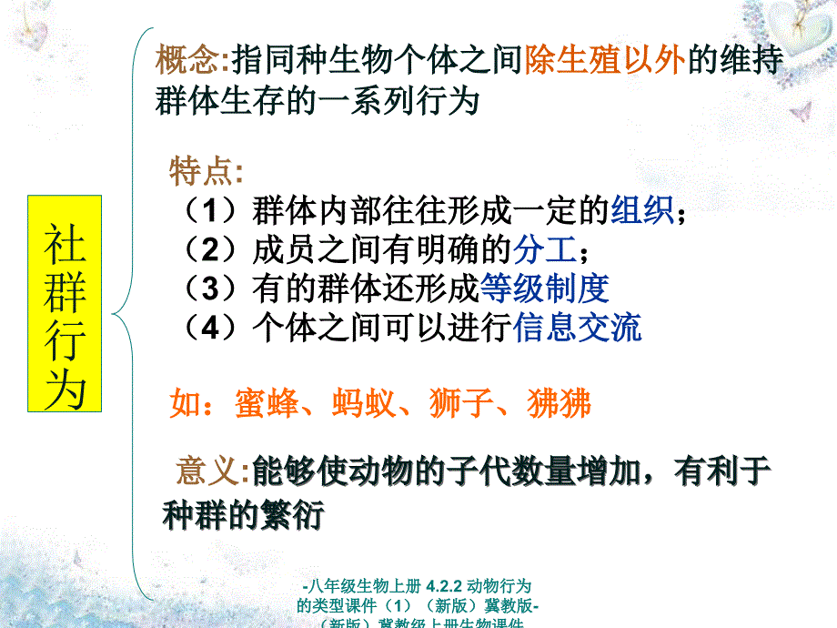 最新八年级生物上册4.2.2动物行为的类型课件1新版冀教版新版冀教级上册生物课件_第3页