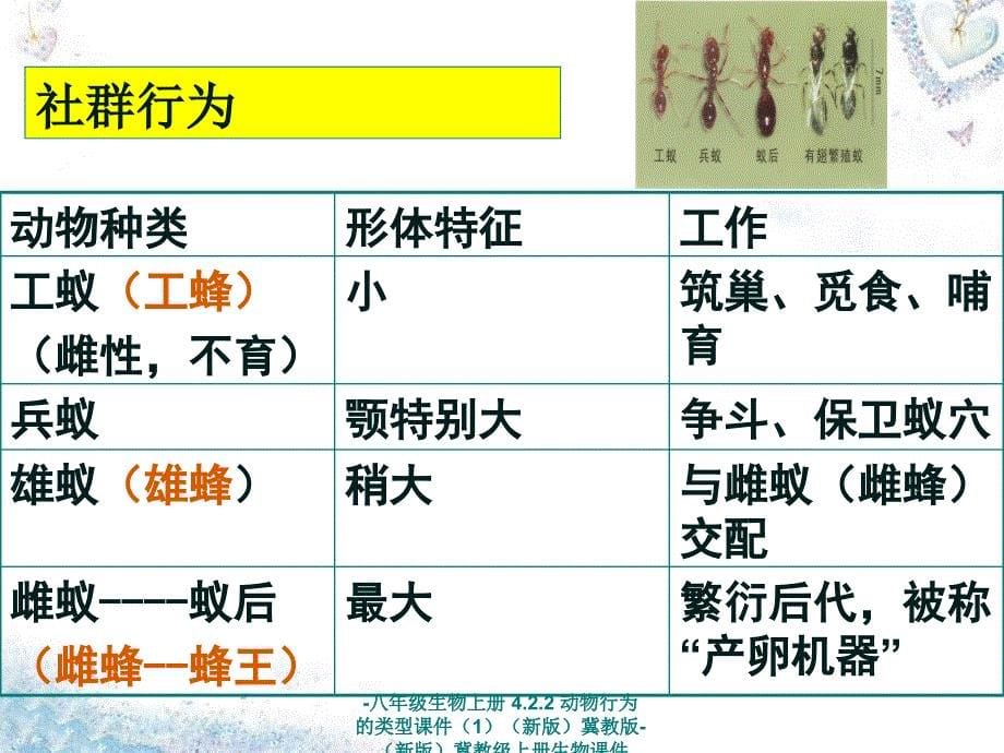 最新八年级生物上册4.2.2动物行为的类型课件1新版冀教版新版冀教级上册生物课件_第5页