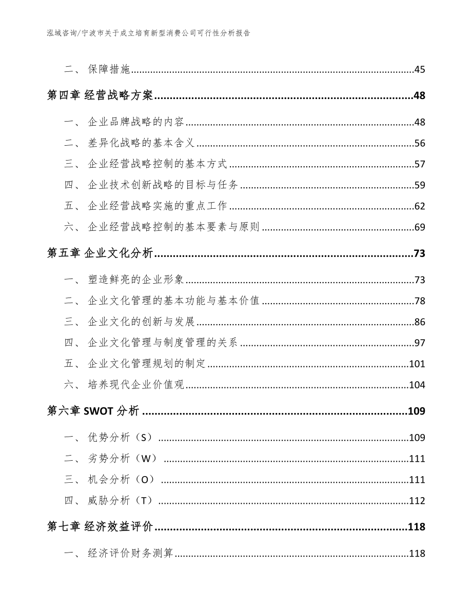 宁波市关于成立培育新型消费公司可行性分析报告_范文参考_第2页