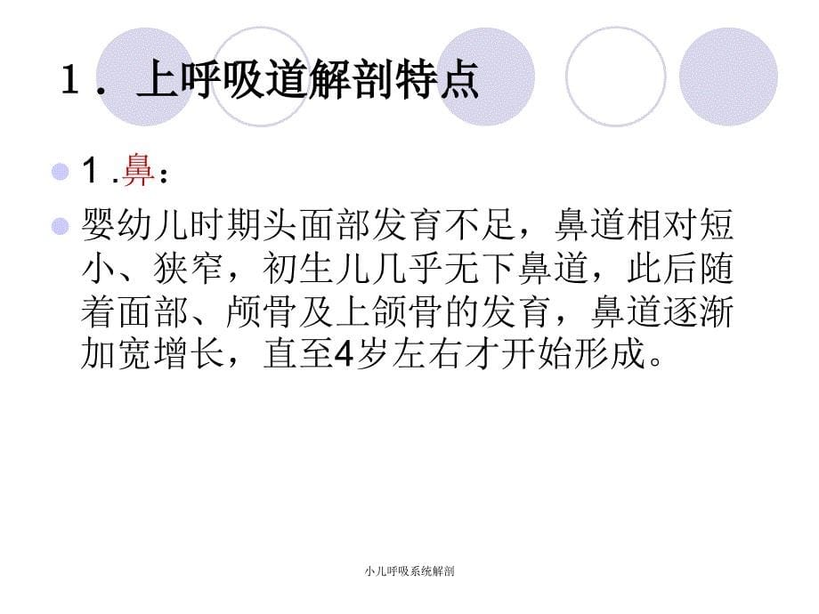 最新小儿呼吸系统解剖_第5页