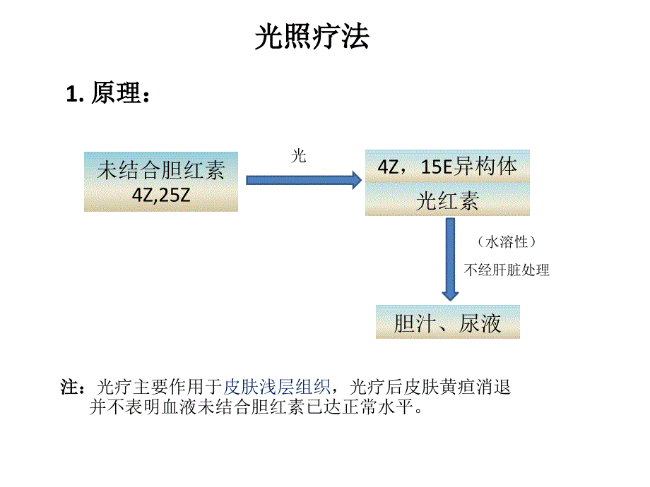 新生儿黄疸的治疗-光疗_第2页