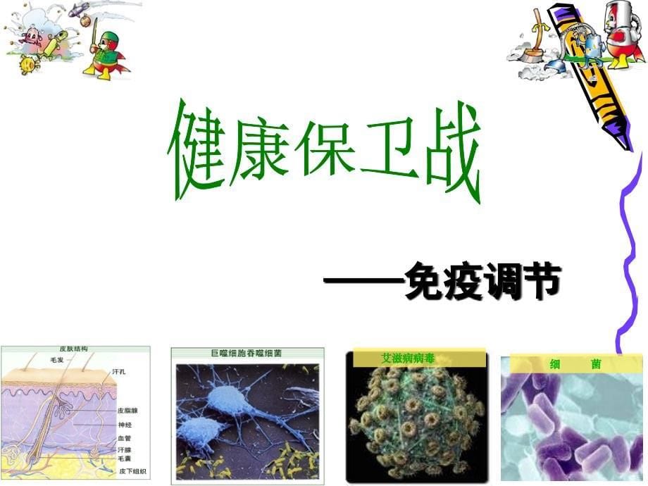 高中生物必修3稳态与环境第4节免疫调节PPT课件1_第5页