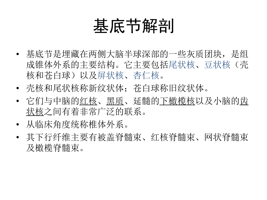 基底节区及内囊_第1页