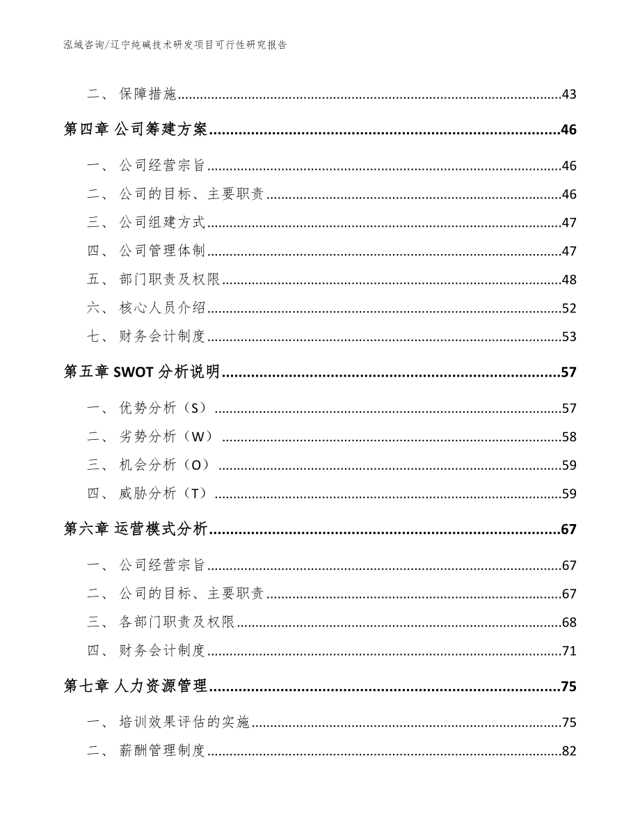 辽宁纯碱技术研发项目可行性研究报告参考范文_第2页