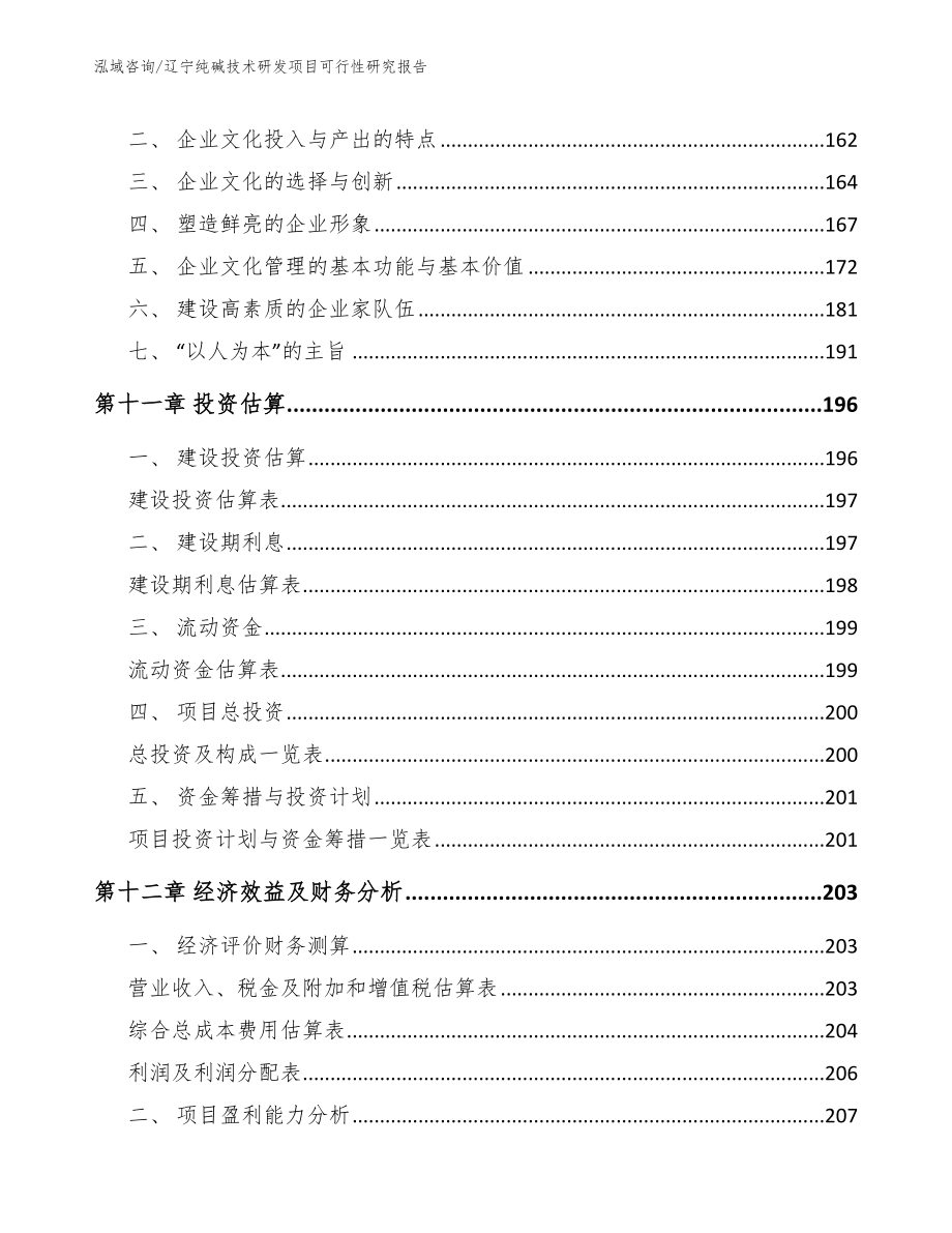 辽宁纯碱技术研发项目可行性研究报告参考范文_第4页