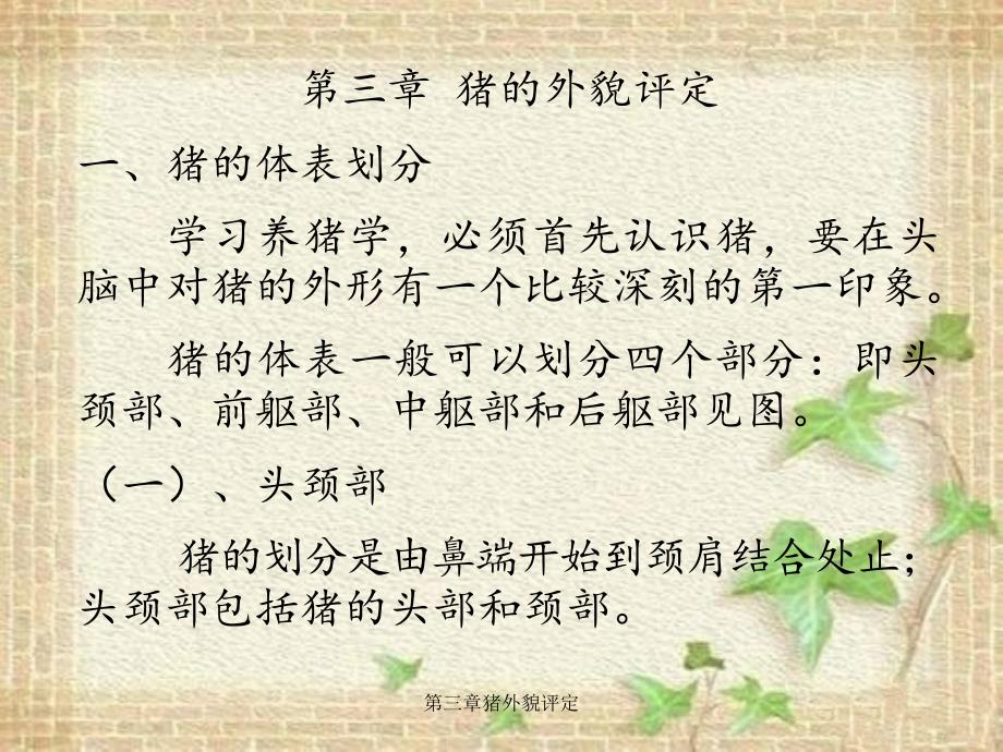 第三章猪外貌评定_第1页