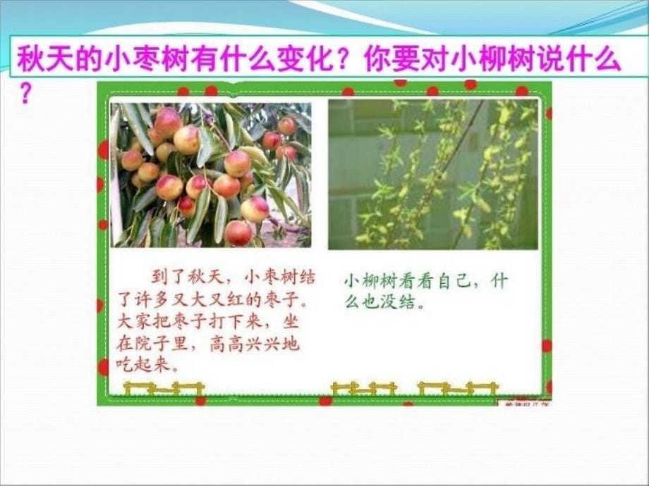 精品人教版小学语文二年级上册小柳树和小枣树课件精品ppt课件_第5页