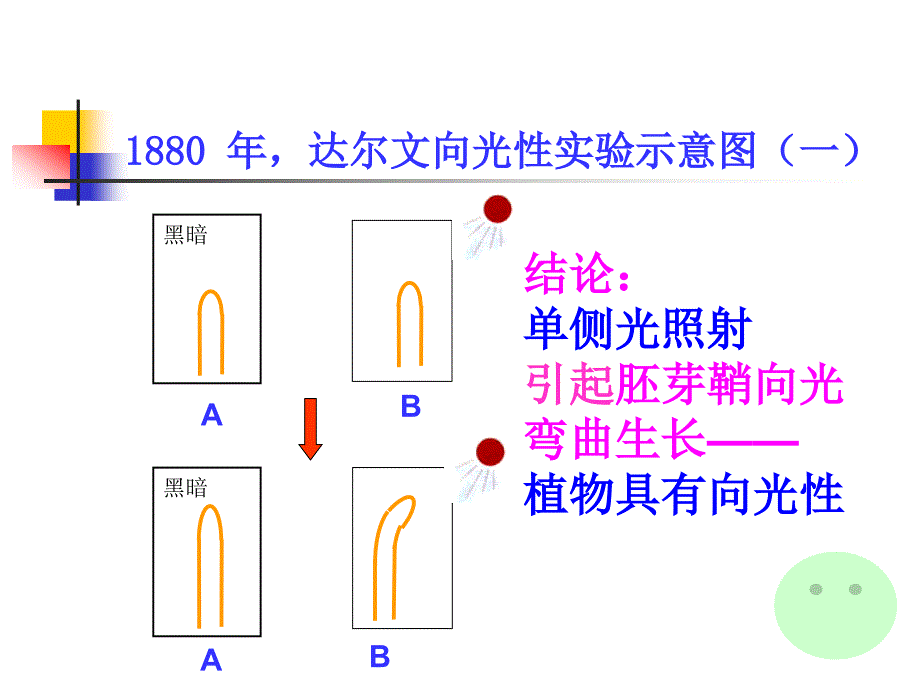 植物生命活动的调_第2页