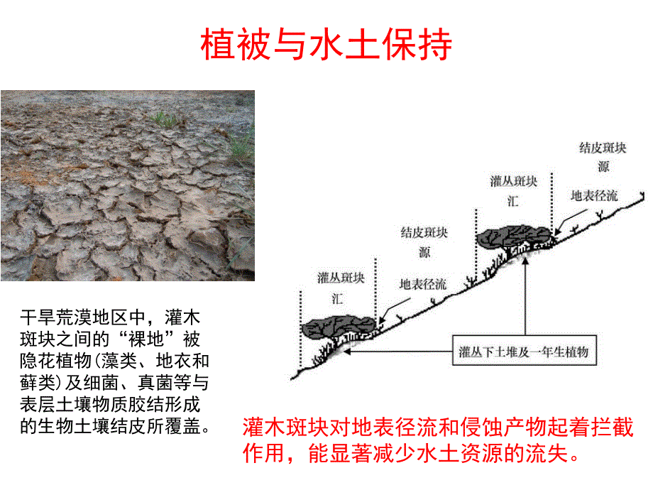 农业生态学9水循环pt课件_第4页