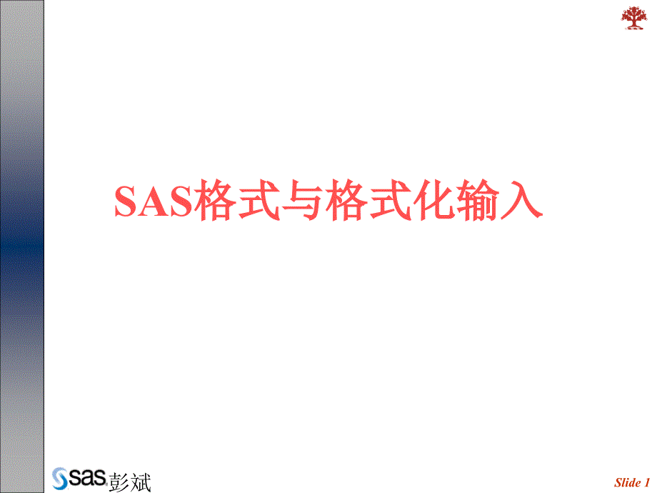 Ch4SAS的输入输出格式_第1页