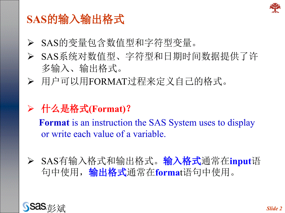 Ch4SAS的输入输出格式_第2页