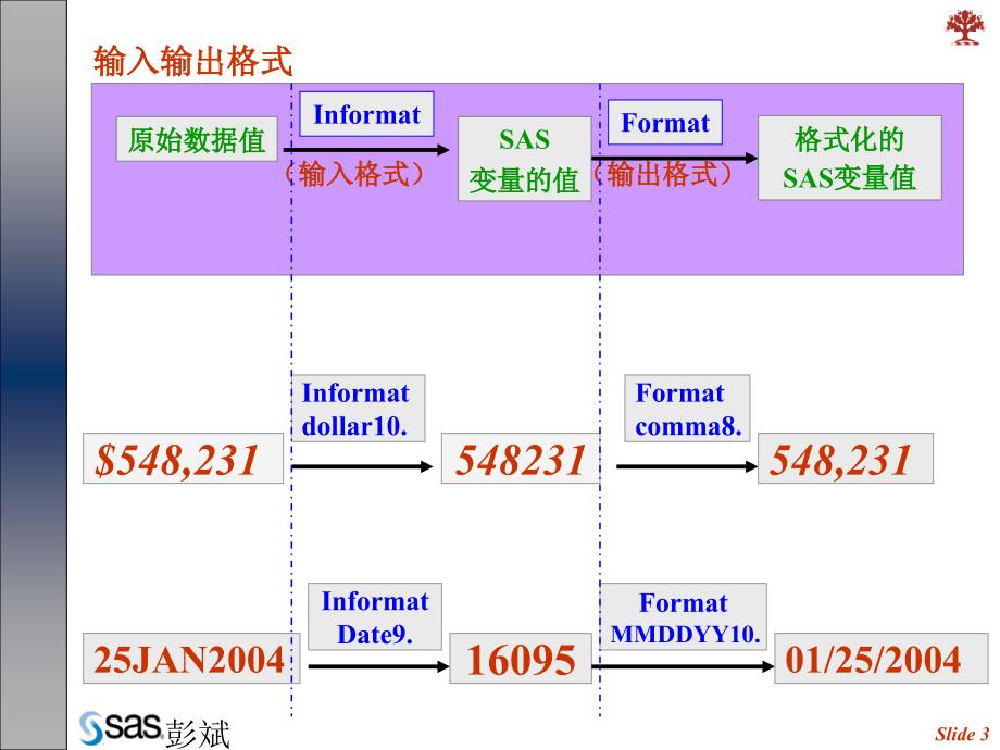 Ch4SAS的输入输出格式_第3页