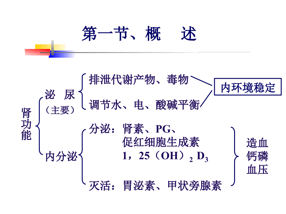 《肾功能不全》PPT课件_第3页