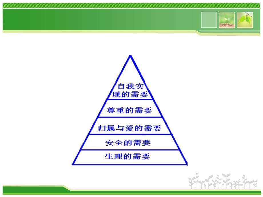 消费者需求概述课件_第5页