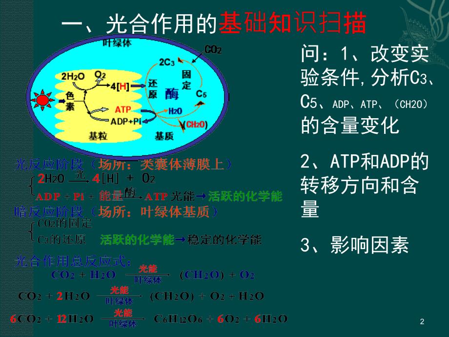 高考二轮复习光合作用与呼吸作用专题_第2页