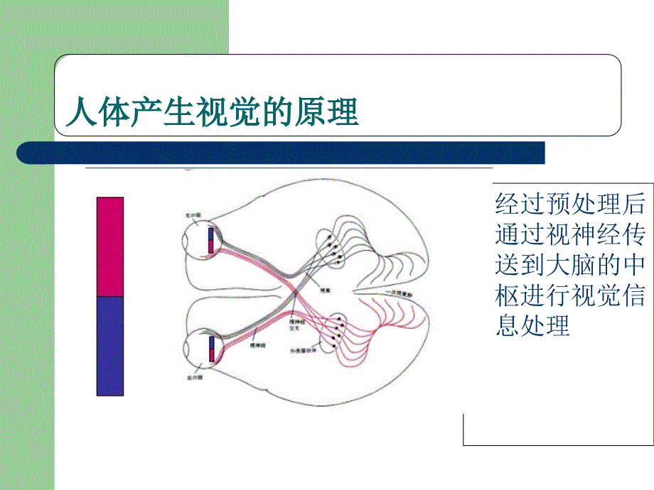 人工视觉原理概述与进展及展望PPT课件_第4页