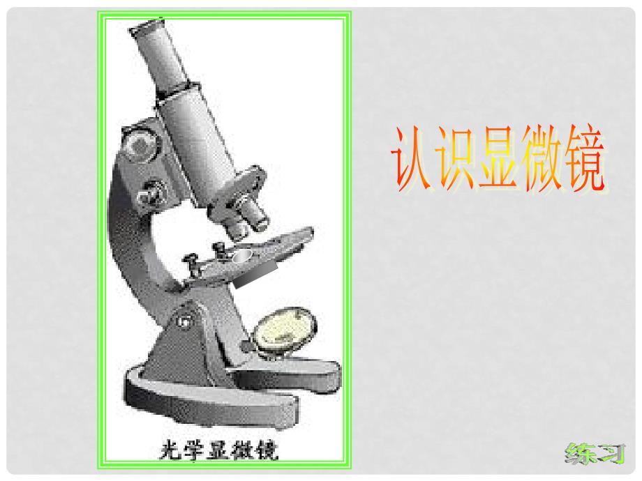 河北省邢台市临西一中七年级生物上册《练习使用显微镜》课件 人教新课标版_第3页