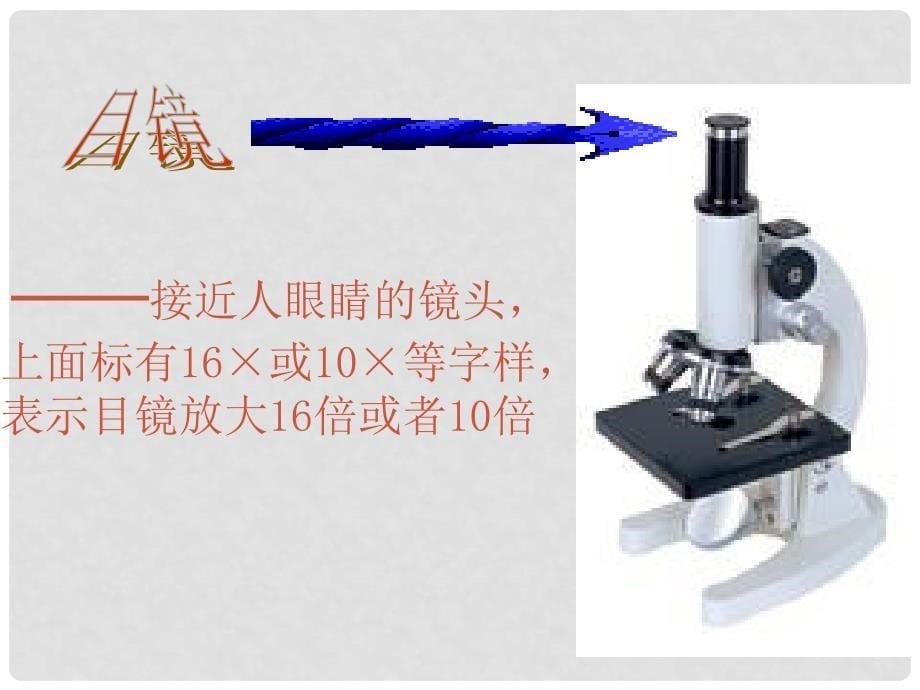 河北省邢台市临西一中七年级生物上册《练习使用显微镜》课件 人教新课标版_第5页