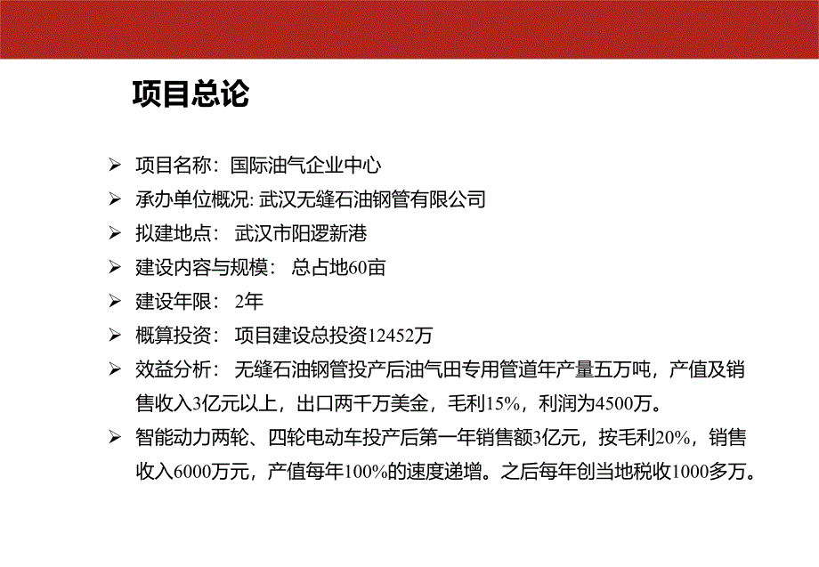 国际油气企业中心项目计划书71P_第2页