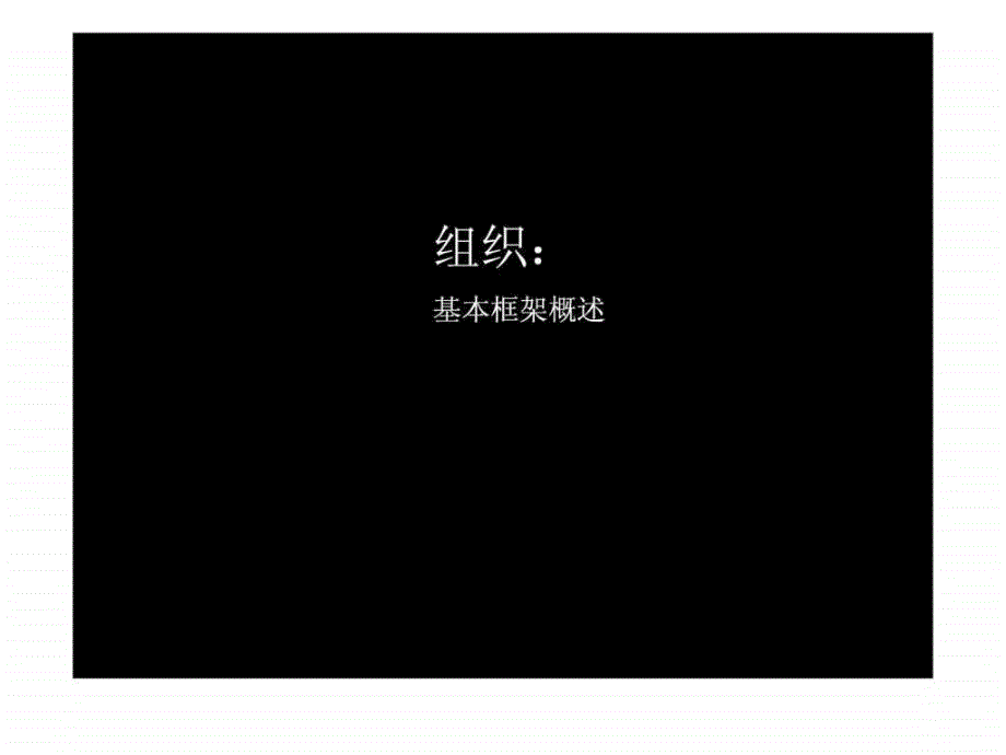 组织概述与基本框架_第2页