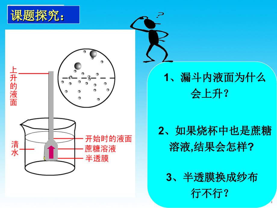 四1细胞跨膜运输实例_第2页