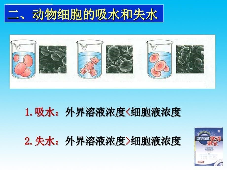 四1细胞跨膜运输实例_第5页