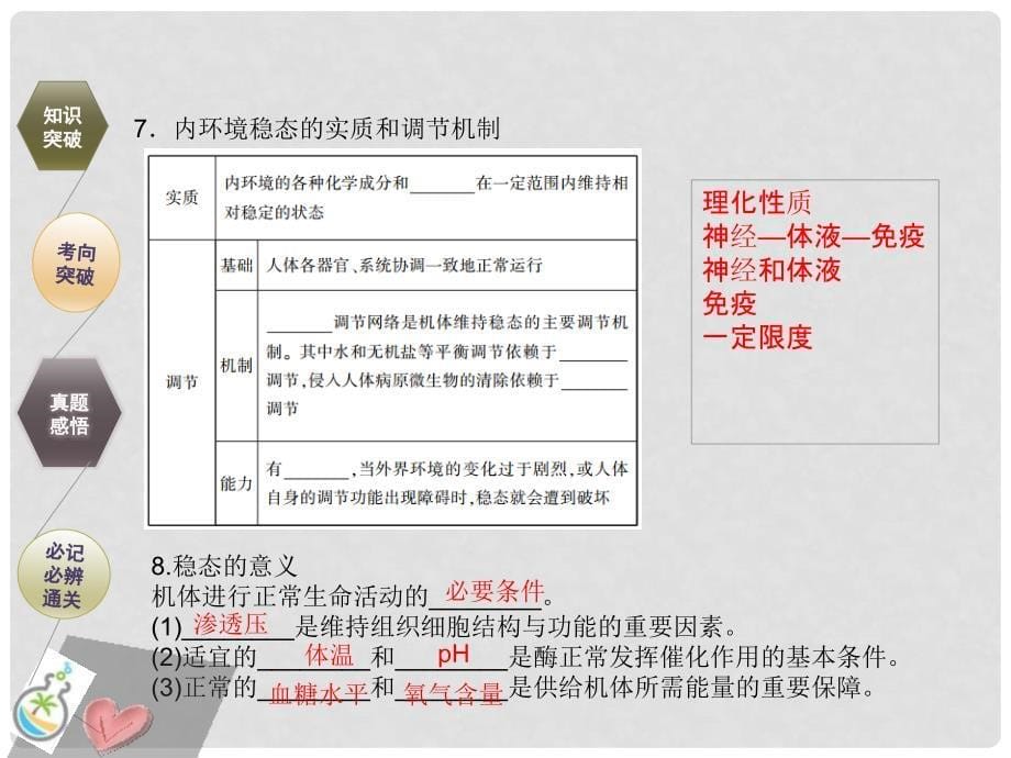 高考生物总复习 第八单元 动物和人体生命活动的调节 第1讲 人体的内环境和稳态课件_第5页