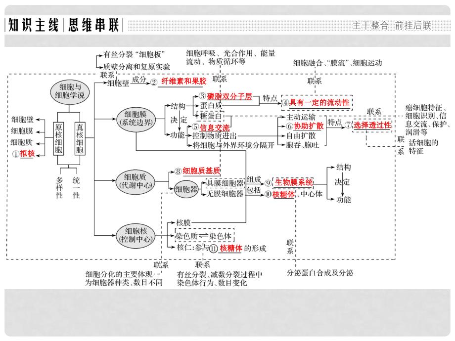 高考生物二轮专题复习 第一部分 专题突破篇 第一单元 专题2 细胞的结构基础课件_第2页