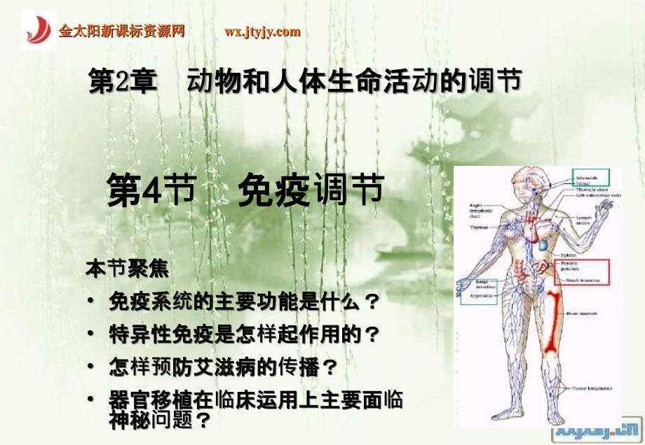 生物免疫调节精品课件新人教版必修_第1页