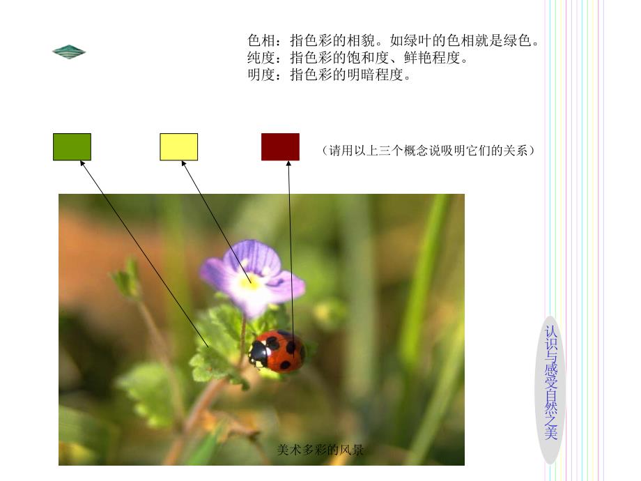 美术多彩的风景课件_第4页