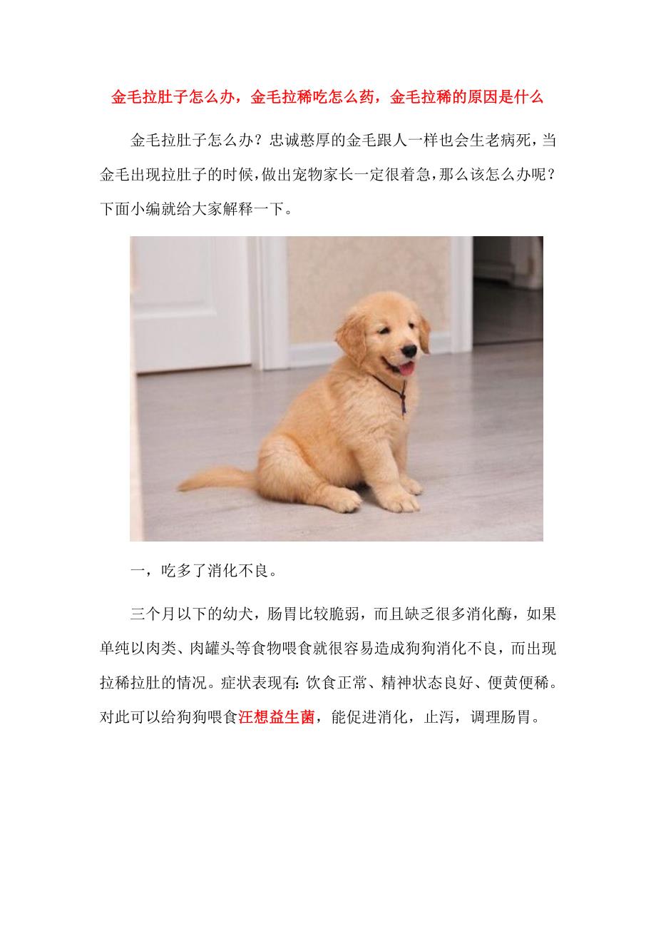 金毛拉肚子怎么办,金毛拉稀吃怎么药,金毛拉稀的原因是什么.docx_第1页