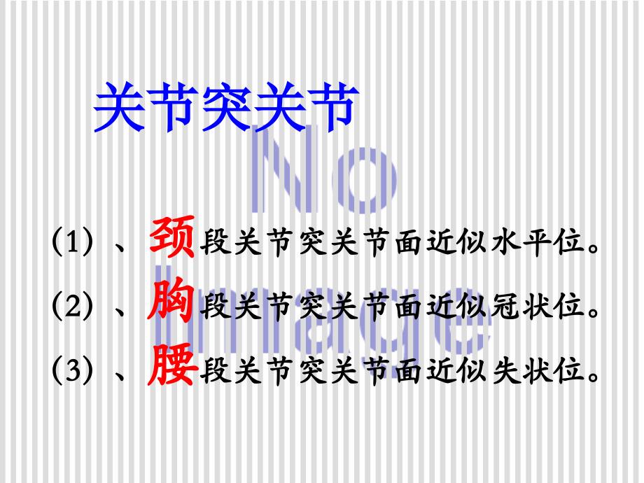 颈椎病应用解剖PPT课件_第4页