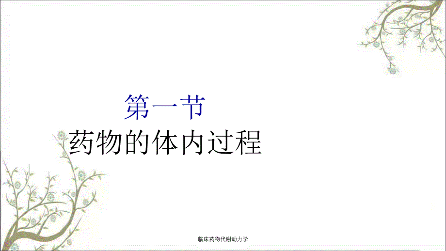 临床药物代谢动力学课件_第3页