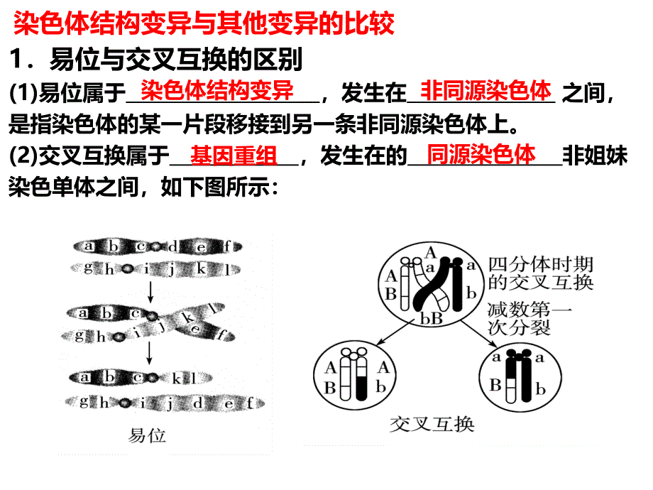 一轮复习-人教版必修2-第5章-第2节-染色体变异_第4页