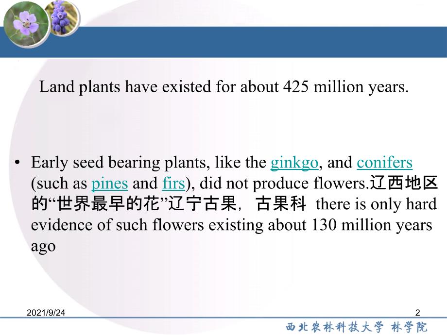 园林树木学被子植物门1-1_第2页