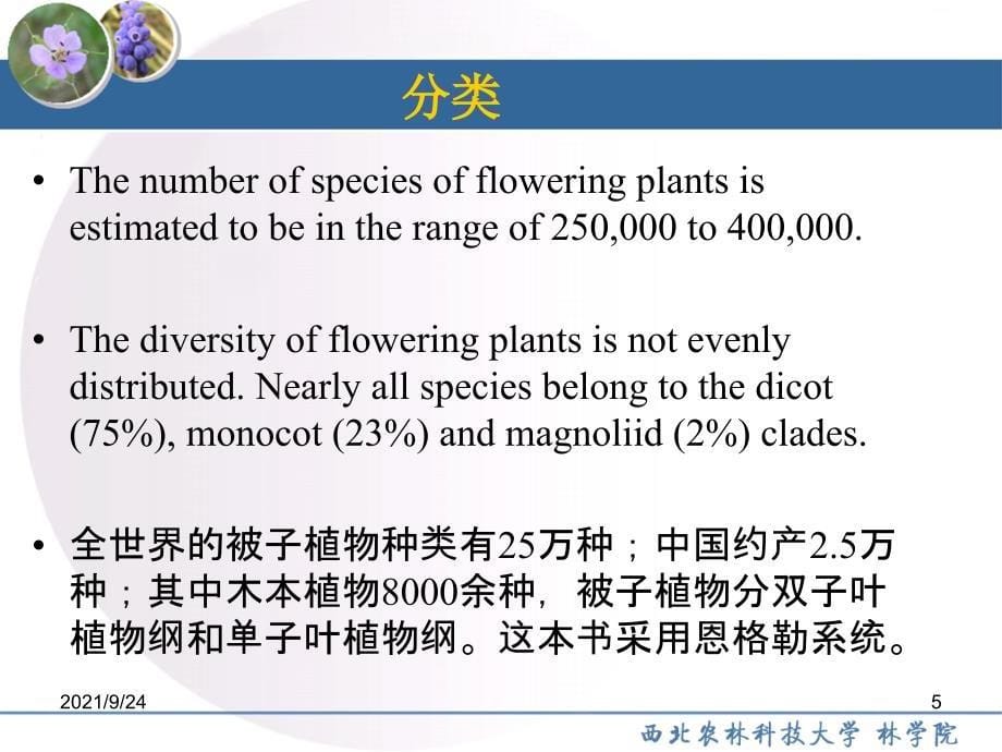 园林树木学被子植物门1-1_第5页