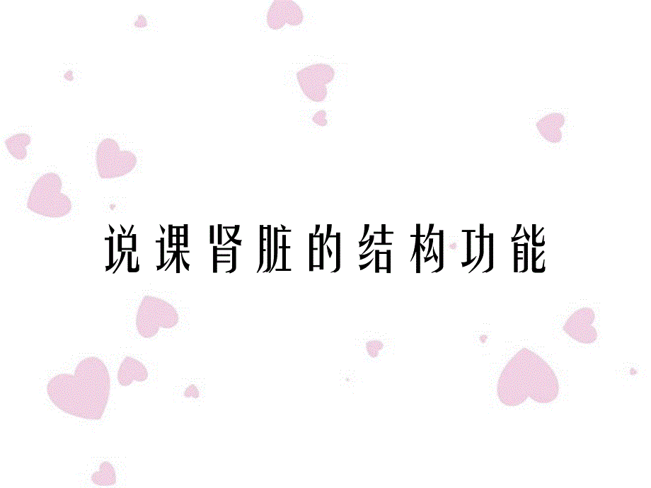 说课肾脏的结构功能_第1页