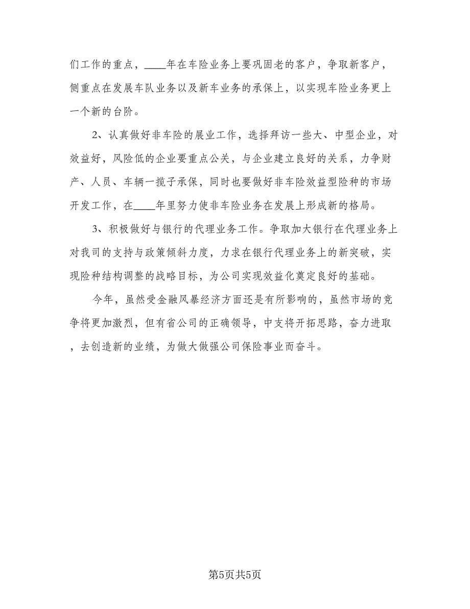 2023保险业务员个人的工作计划标准范文（2篇）.doc_第5页