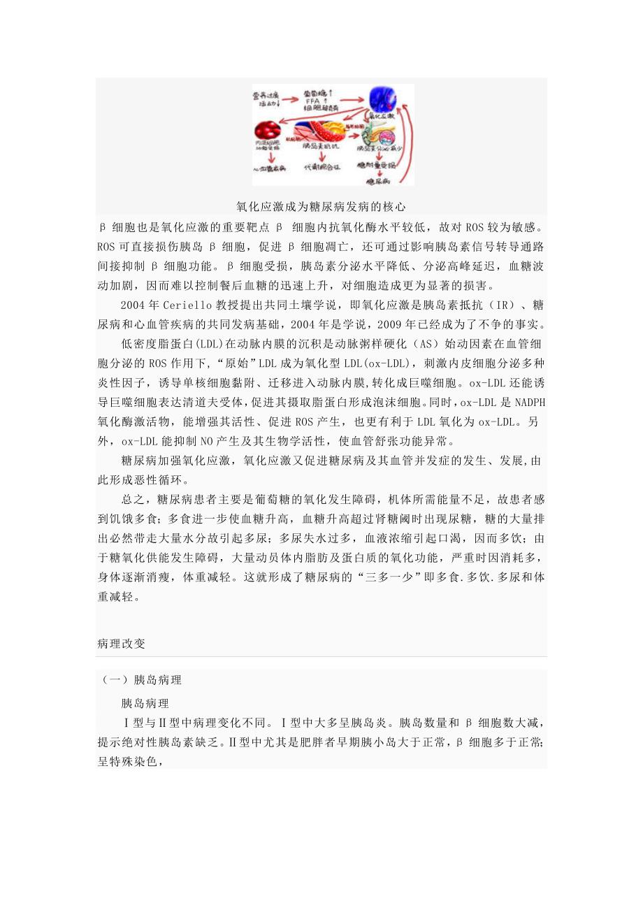 糖尿病健康教育知识讲座资料_第4页