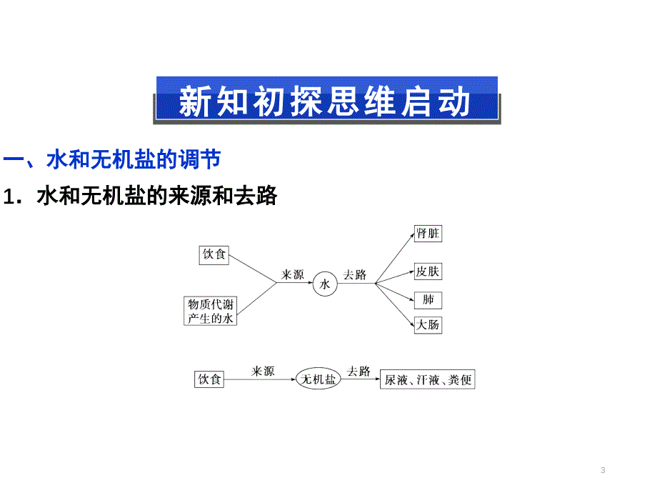 水盐调节及血糖调节分享资料_第3页