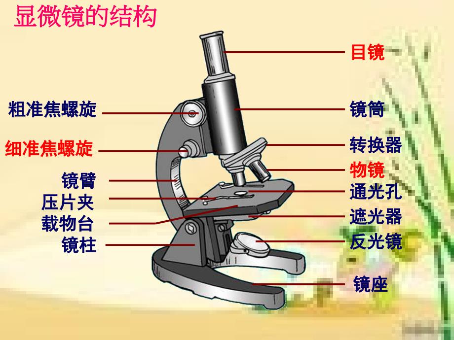 显微镜使用方法用_第3页