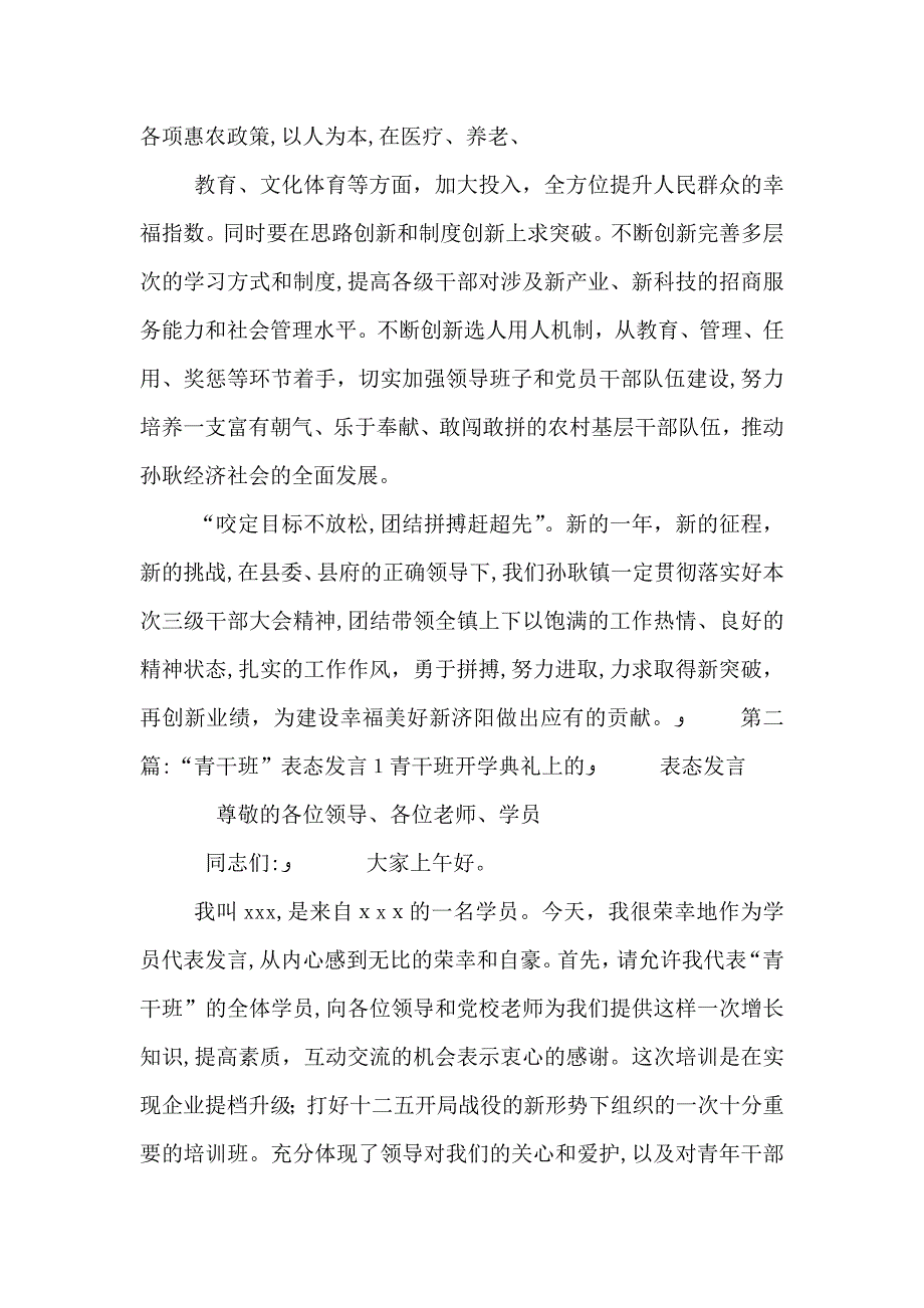 三干会表态发言_第3页