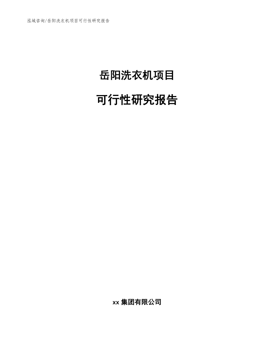 岳阳洗衣机项目可行性研究报告（模板）_第1页