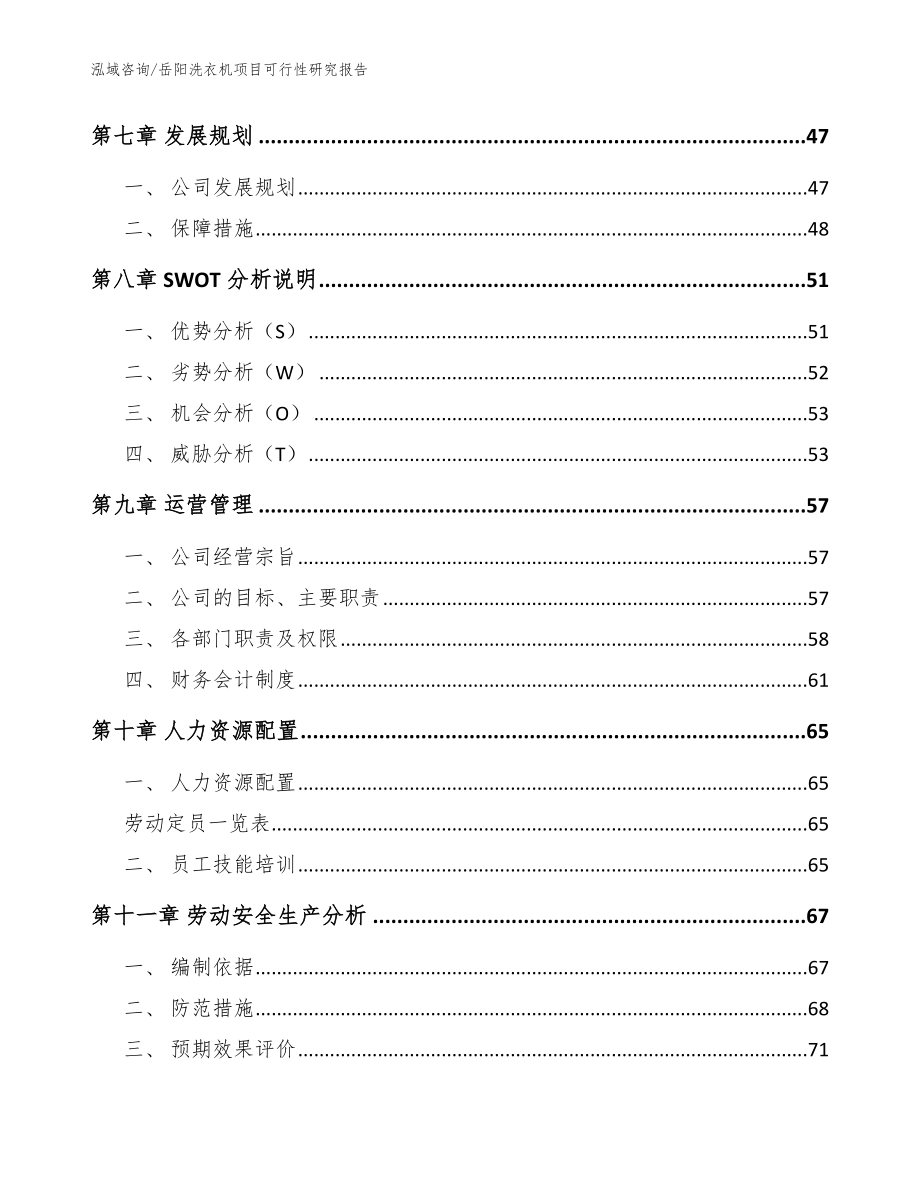 岳阳洗衣机项目可行性研究报告（模板）_第4页