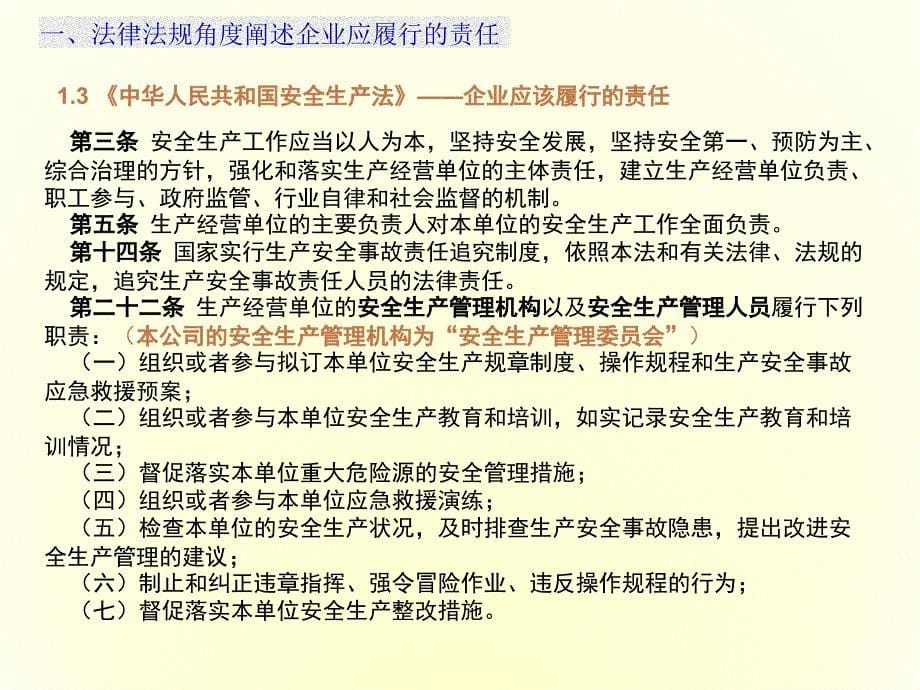 企业领导安全培训ppt课件_第5页